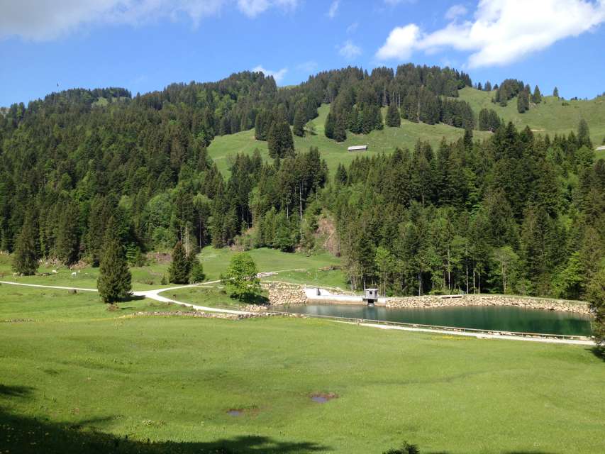Mit dem Förster ins Ijental
